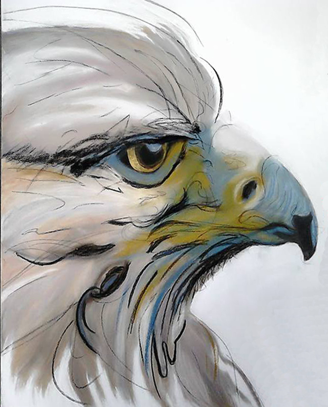 Aigle