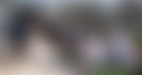 White Team Schedule Announced