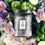 縮圖：VOLUSPA Apple Blue Clover 100hr Candle
