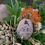 縮圖：Native bouquet  Never forget