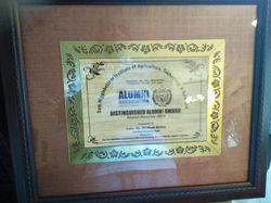 ALLD (9)