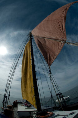 DSC_2410.jpg