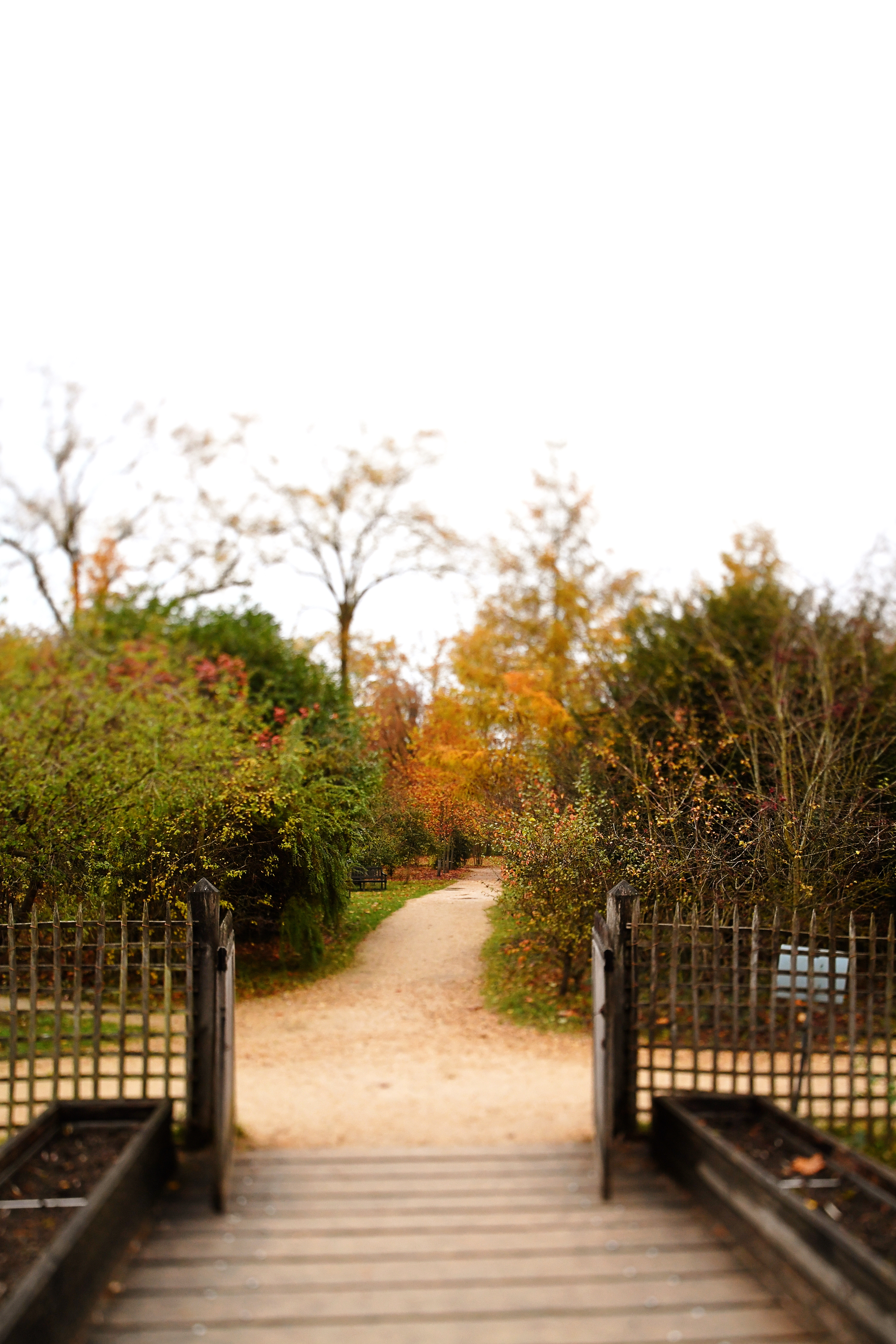 Petit Trianon Garden