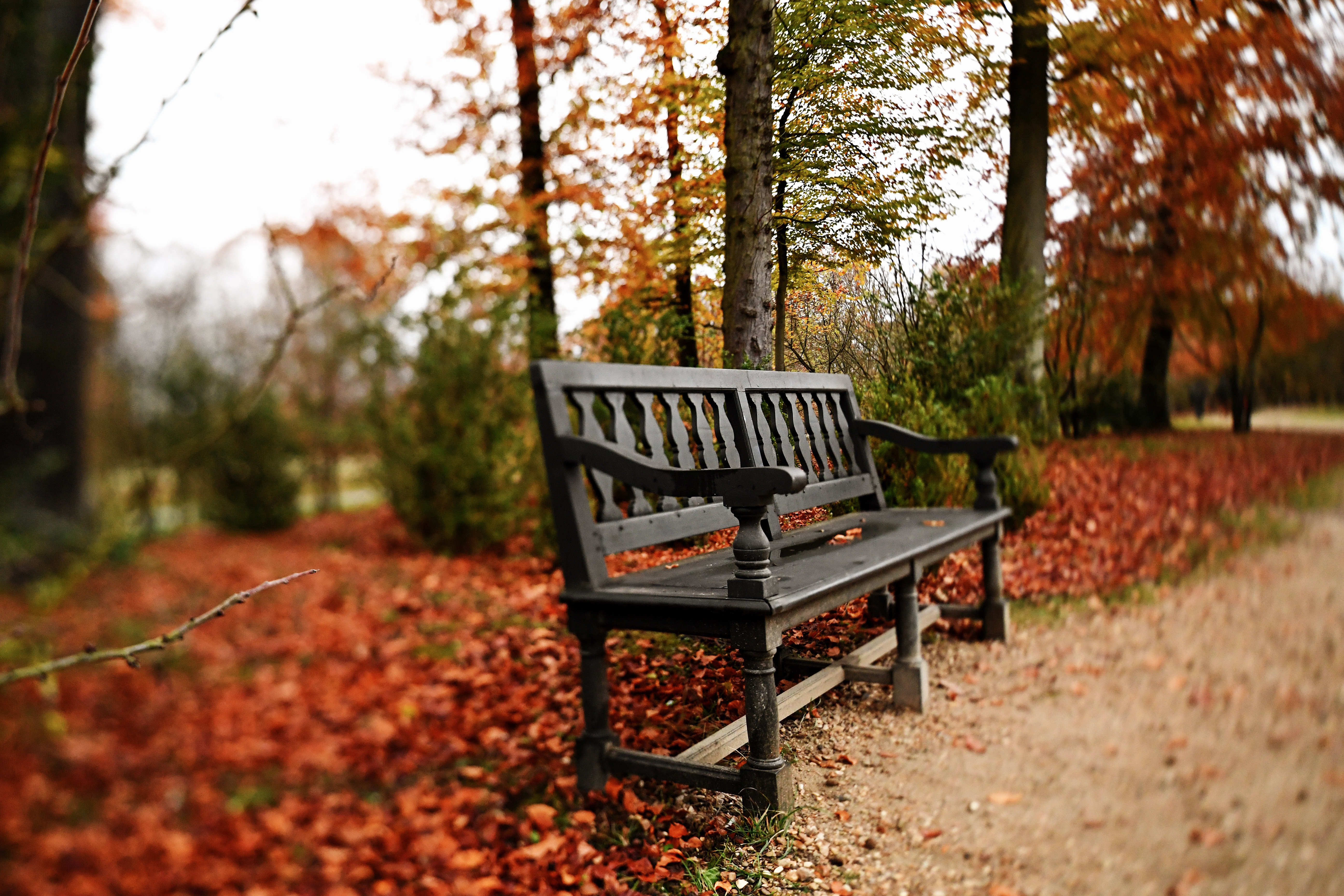 Bench at Château de Versailles