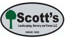 scotts.jpeg