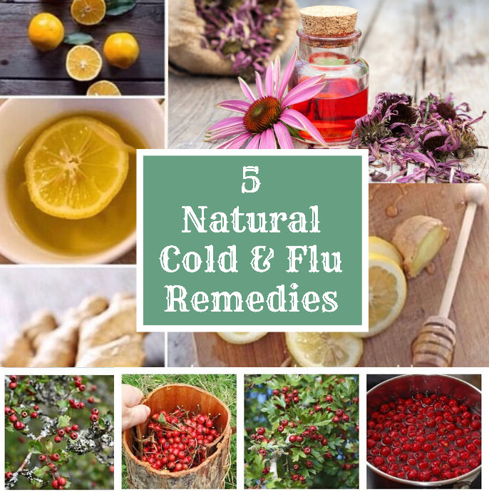 5 Of The Best Natural Cold & Flu Remedies