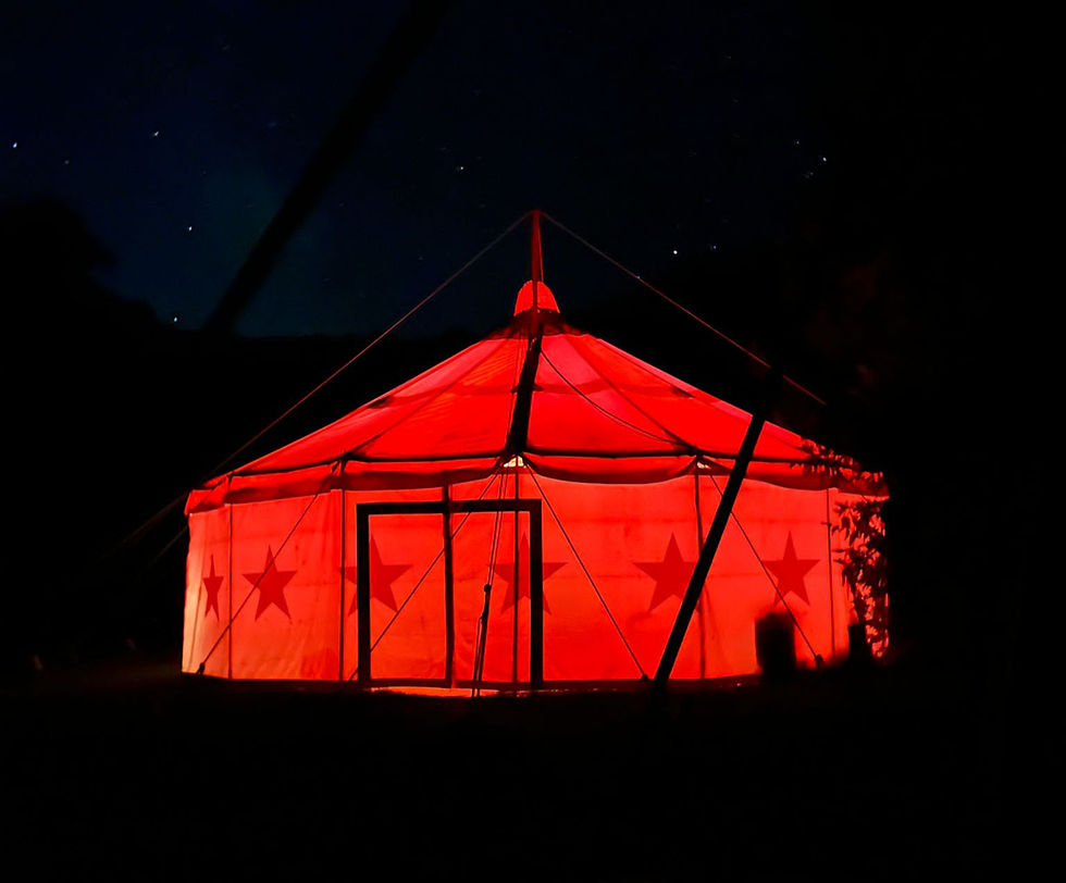 Votre arbre de Noël au cirque