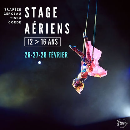 Stage aériens Ados_Février_25.jpg