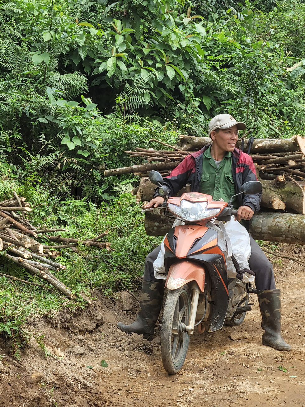 Wild Ancient Shan Tea Mountain Range of Baiyue Tribes