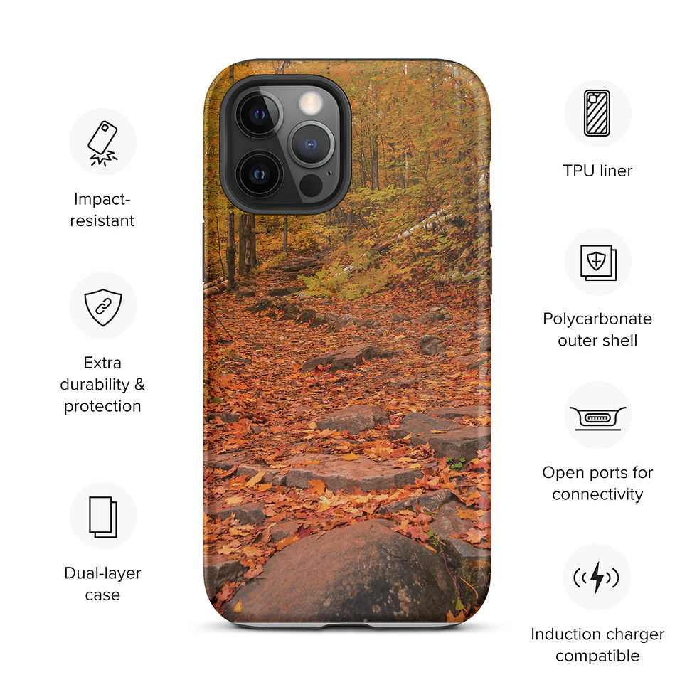 Miniature : Tough iPhone case
