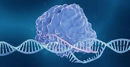 CRISPR-enhanced phage therapy for UTIs