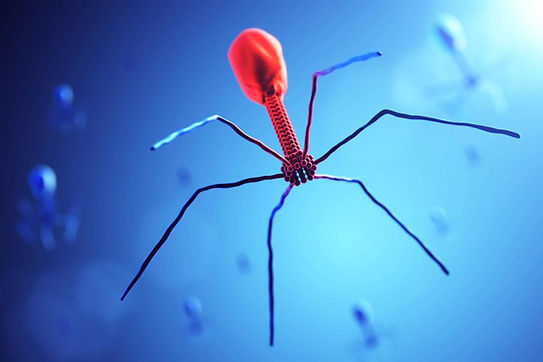 bacteriophage.jpg