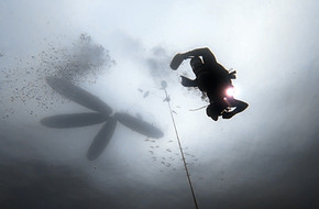 S__80592924_0.jpg