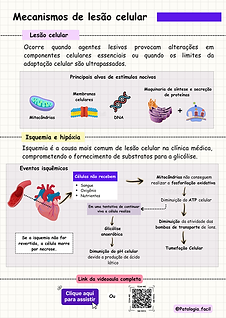 Patologia Geral.png