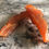 Thumbnail: Salmon Jerky