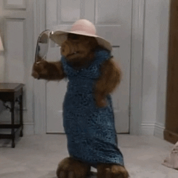giphy (9).gif
