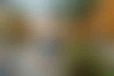 Mexico City Neighborhoods SANTA MARIA LA RIBERA CAFETERIA