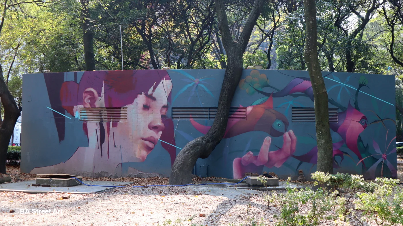 Mexico City Neighborhoods CONDESA STREET ART