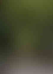 Mexico City Neighborhoods STREET JUAREZ CDMX