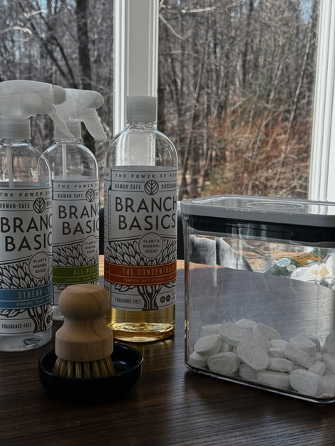 TOXIC FREE CLEANING PRODUCTS