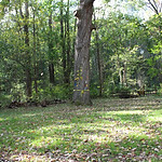 Cree Campsite_FromCRM6282.JPG