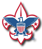 bsa logo.png