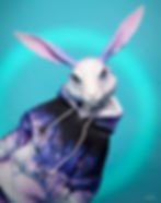 Thumbnail: Tracksuit for Bunny Hartmann