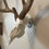 Thumbnail: Skull Hanger