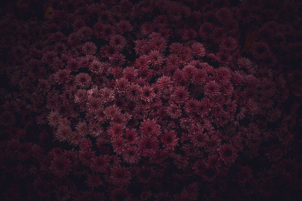 AdobeStock_285253660.jpeg