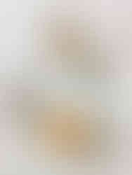 Painted Prosecco bottle