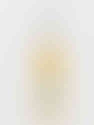 Painted Prosecco bottle