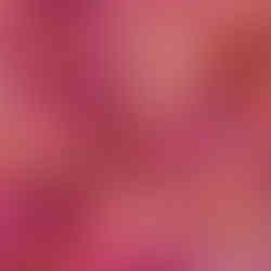 Decorative image of dahlias in pink and orange tints seen as a flat lay.