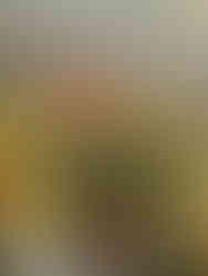 empty wine bottles filled with flowers