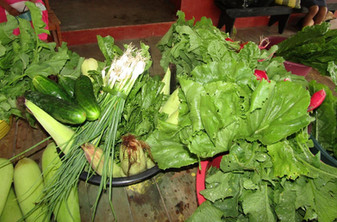 img40.jpg