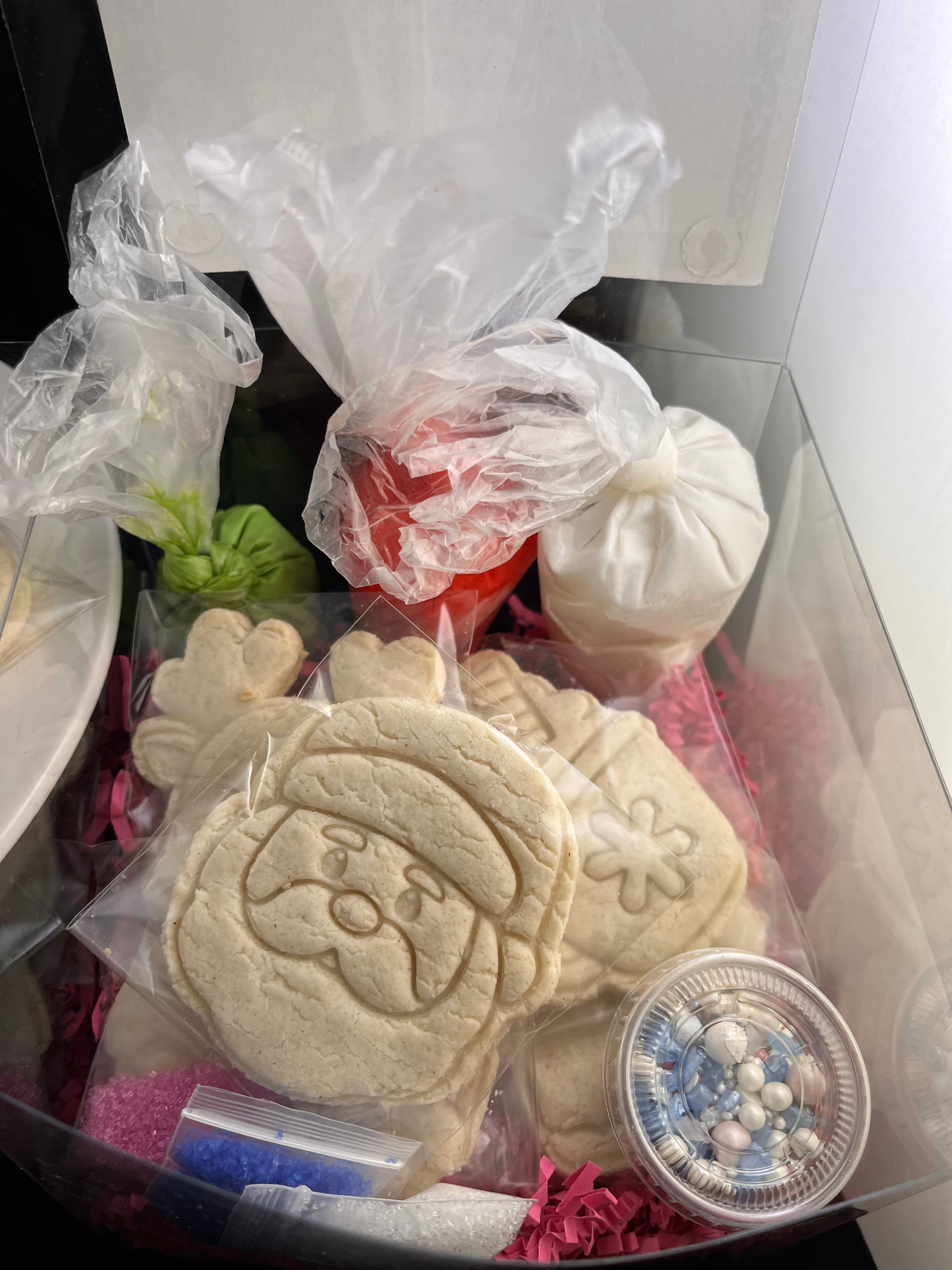 Christmas Cookie Decorating Kit