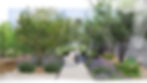 Viñas de Chicureo