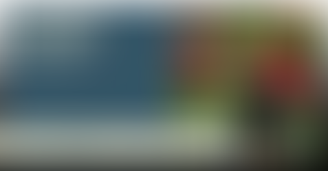 LOTO Lowdown - August Edition