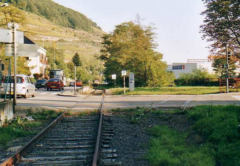 Schygulla (10)