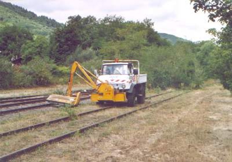 Schygulla (7)