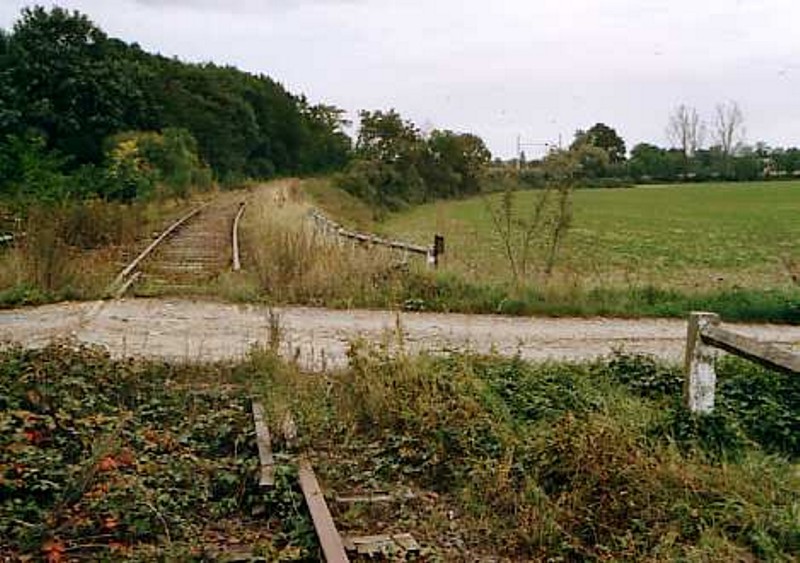 Schygulla (2)