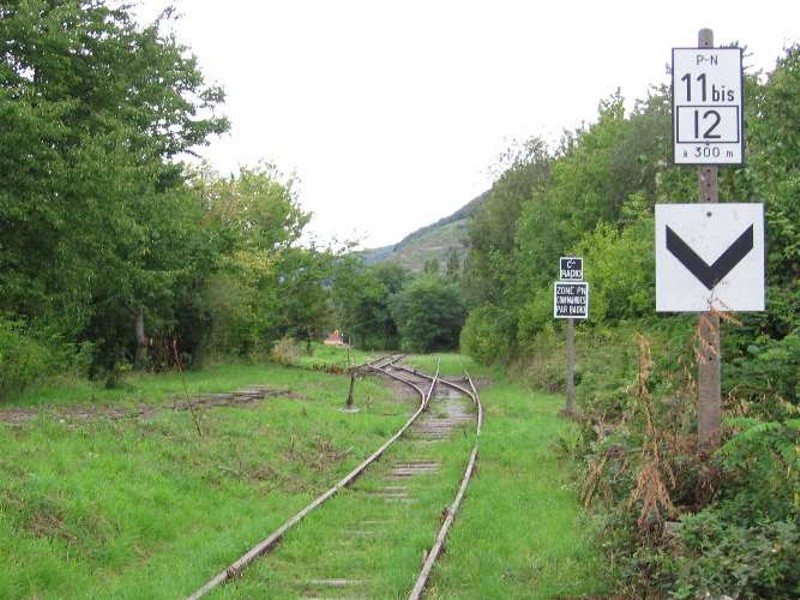 Schygulla (5)