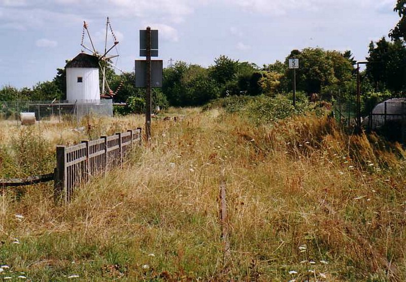 Schygulla (4)