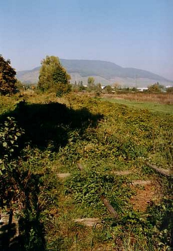 Schygulla (3)