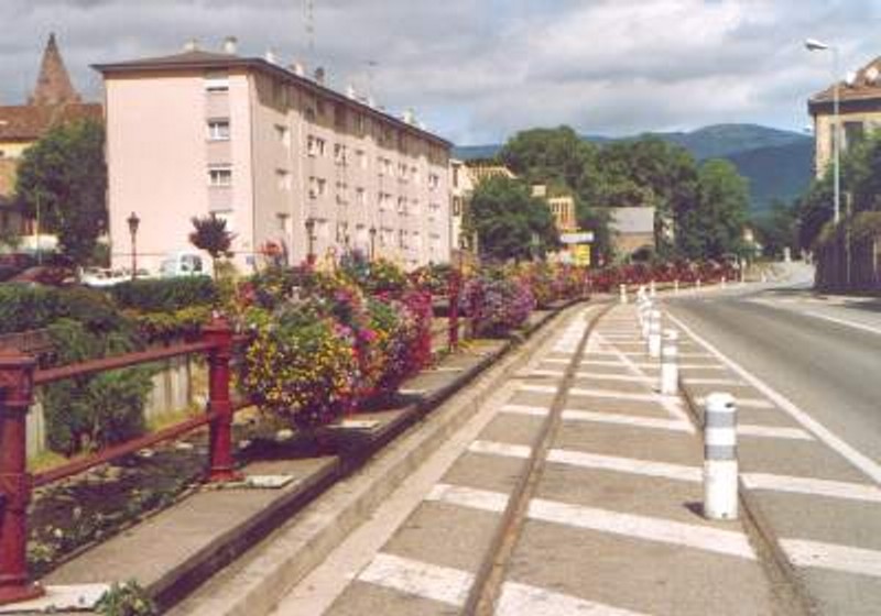 Schygulla (9)