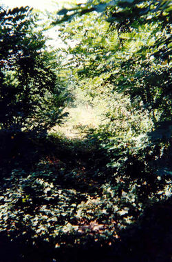 Ligne 08 1997 (4)