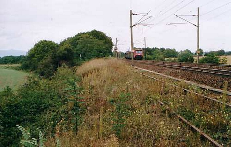 Schygulla (1)
