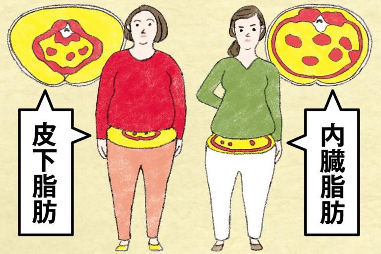 2|脂肪,是身體囤積的心事