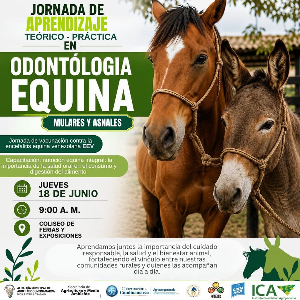 JORNADA DE APRENDIZAJE TEÓRICO PRÁCTICA EN ODONTOLOGÍA EQUINA