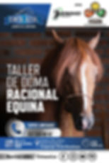 Taller de doma racional equina