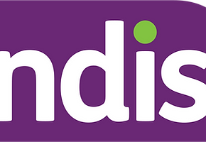 NDIS_idMZ4cwM9u_0.png